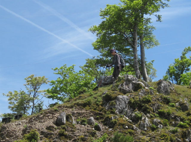 c0219866_69537.jpg