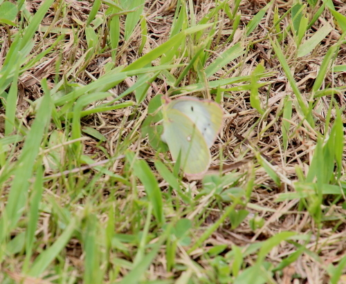 b0320769_14003816.jpg