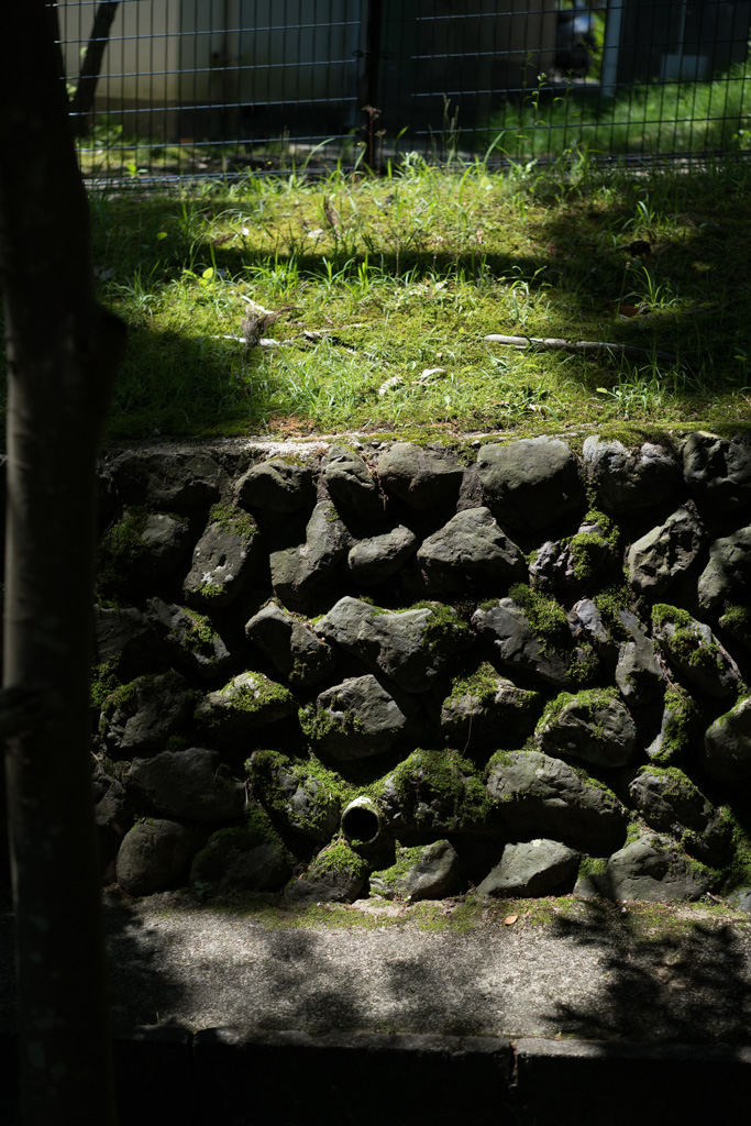 f0167977_10164454.jpg