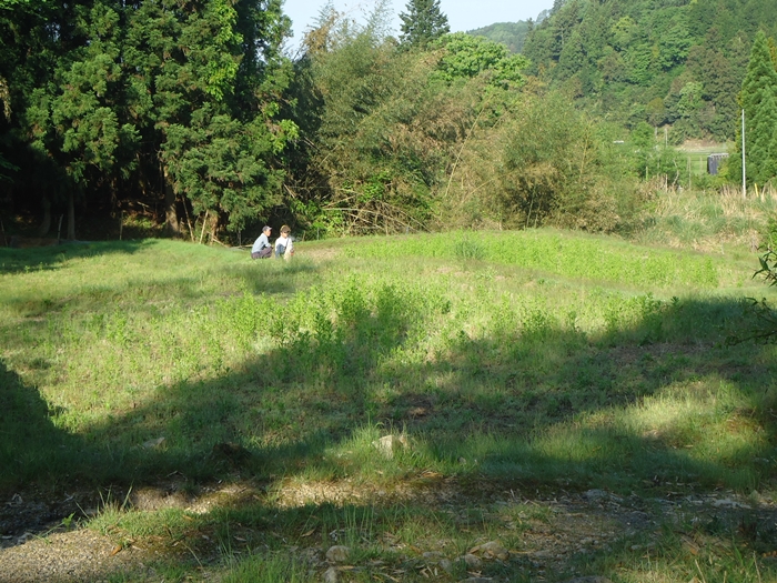 a0199979_1640855.jpg
