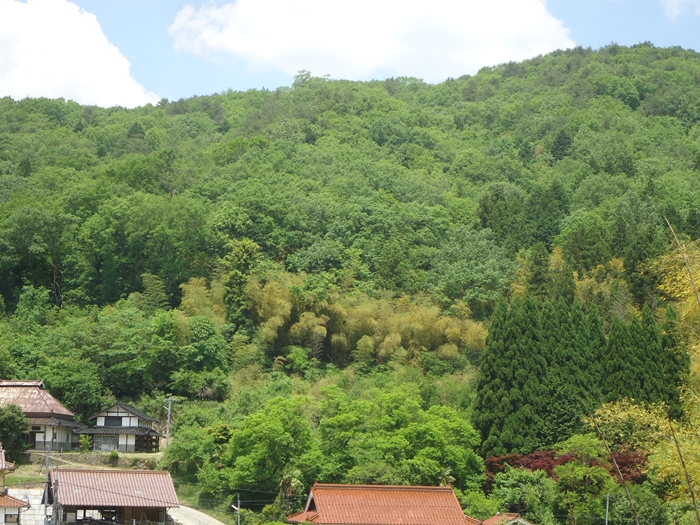a0199979_165198.jpg