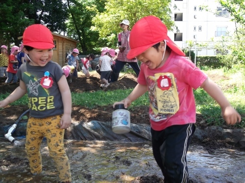 開放的な気分全開！_f0334882_18412320.jpg