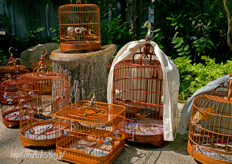 香港鳥籠 Deep in Asia 79：バードストリート : ヨコ旅