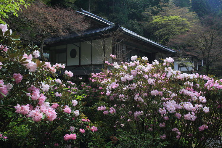 志明院_e0051888_20255383.jpg