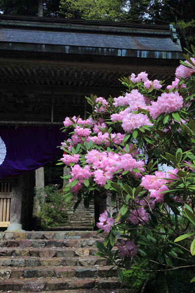 志明院_e0051888_20261498.jpg