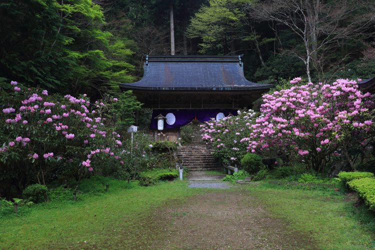 志明院_e0051888_20262558.jpg
