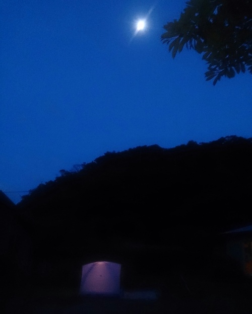 e0220493_0135360.jpg