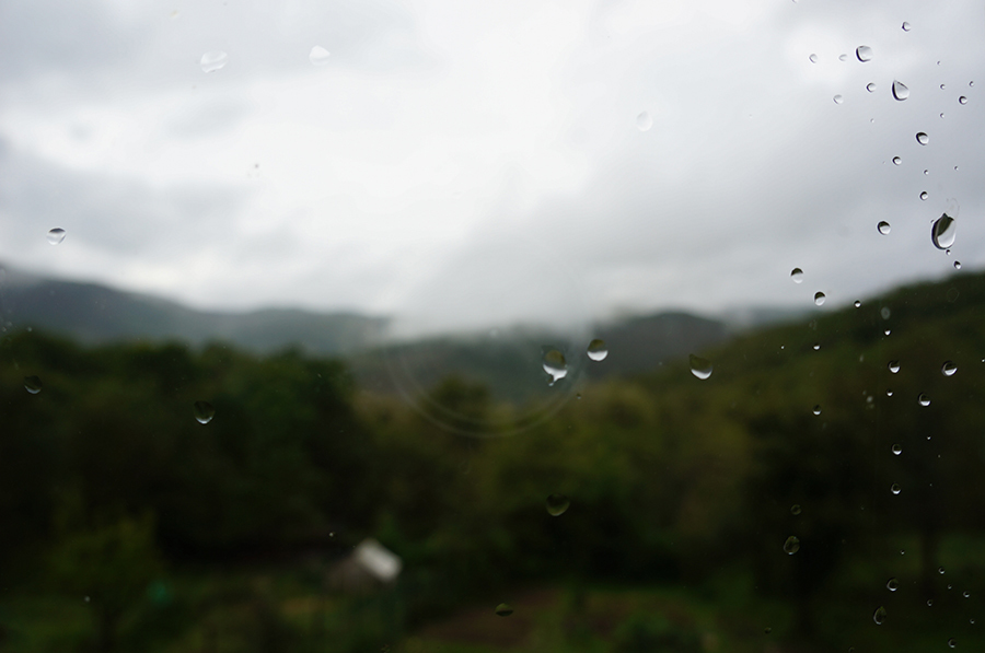 雨のフィレンツェ_f0106597_02421733.jpg