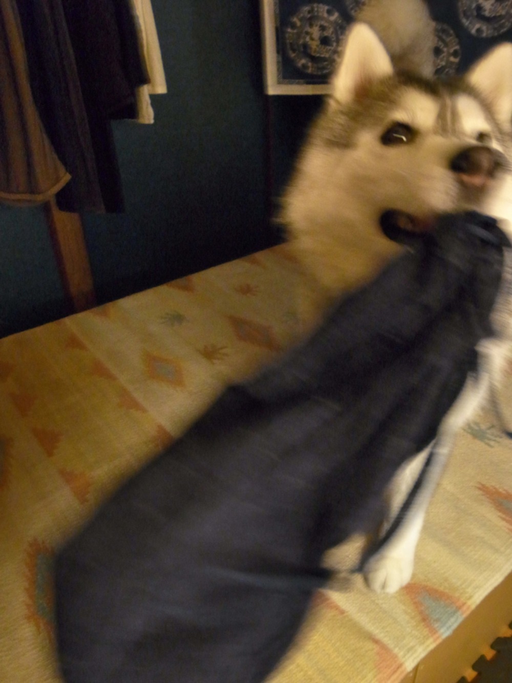 c0049299_22405068.jpg