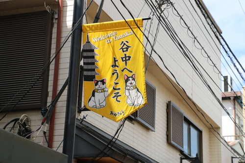 上野公園から谷中、日暮里・根津へ街歩き・３_c0075701_1253668.jpg