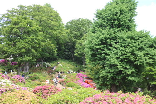 上野公園から谷中、日暮里・根津へ街歩き・８_c0075701_2125538.jpg