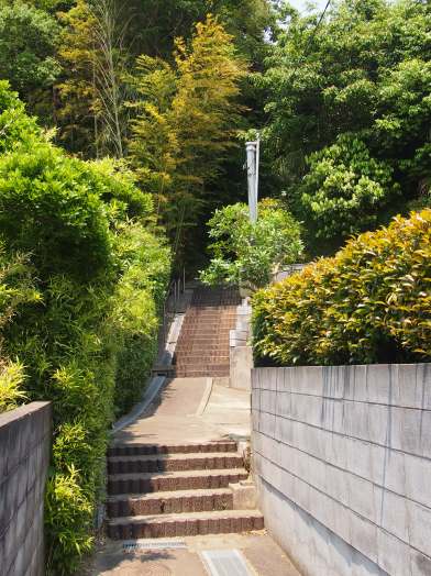 子育て地蔵→谷戸池→岡本神社→大船植物園(2016.05.21)_e0245404_21292981.jpg