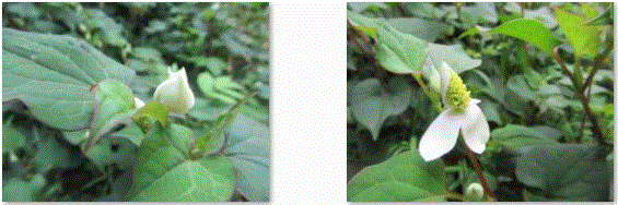 f0231709_831322.gif