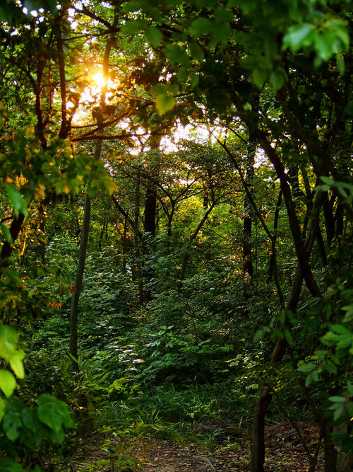 d0048812_10485388.jpg