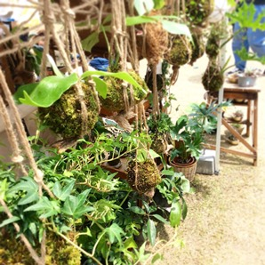 ありがとうございました 森道市場2016_d0263815_16322835.png