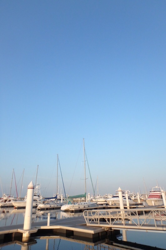 e0077517_06483134.jpeg