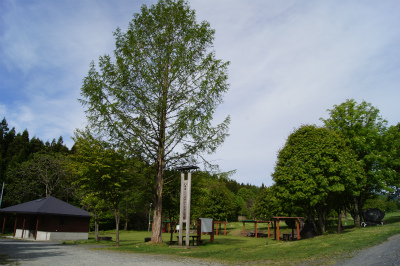 a0173819_8182036.jpg