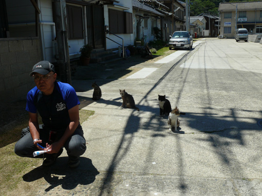 ねこの島まで　Ⅱ_b0023728_11165155.jpg