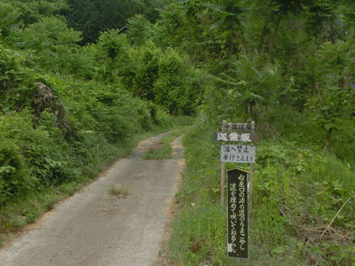中道往還~煮貝の道~第2回 _f0019247_1148141.jpg