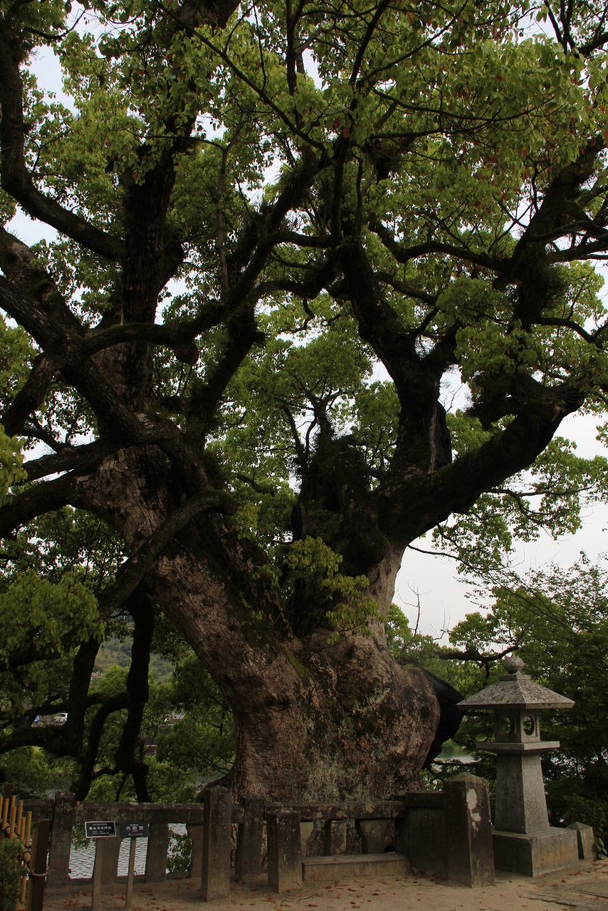 【與止日女神社】　肥前国一宮、欽明天皇二十五年創建の古社_c0011649_13332383.jpg