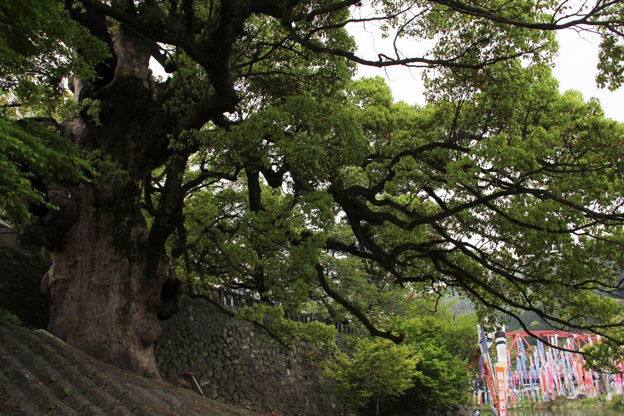 【與止日女神社】　肥前国一宮、欽明天皇二十五年創建の古社_c0011649_13343317.jpg