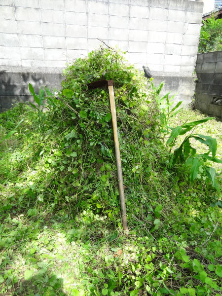 e0033751_19444664.jpg