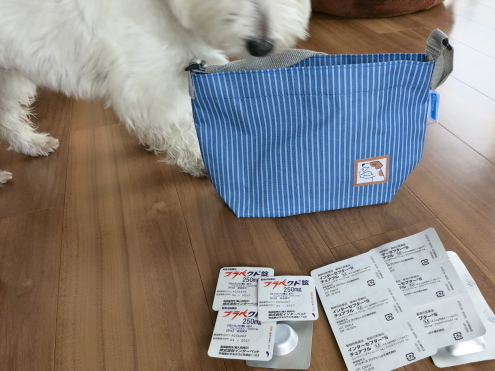 今日は狩りの日?_c0260460_16201046.jpg