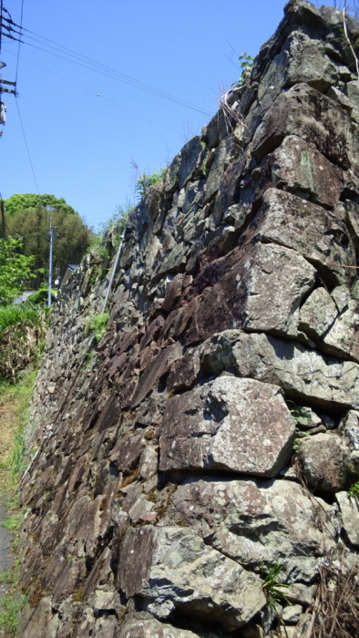 b0300769_16373967.jpg
