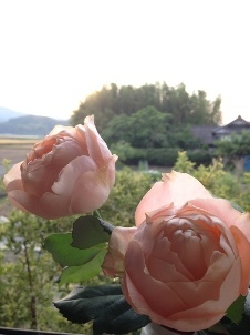 e0290872_23254124.jpeg