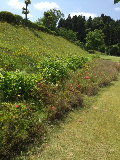 d0154292_1229367.png