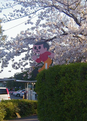 ●飛び出しボーヤ、その31_d0053294_22304587.jpg