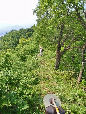 オジサンたちは山へ柴刈に・・・_c0336902_19205278.jpg