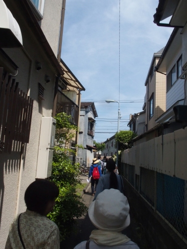 オオタノカケラ(5/15 実施) レポート_f0155808_00532053.jpg