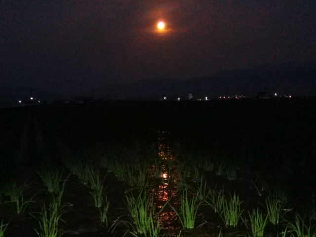 f0231709_12453715.jpg