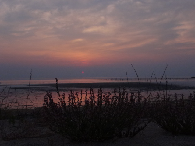 f0231709_12495095.jpg