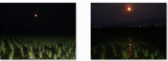 f0231709_137324.gif