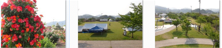 f0231709_1451836.gif
