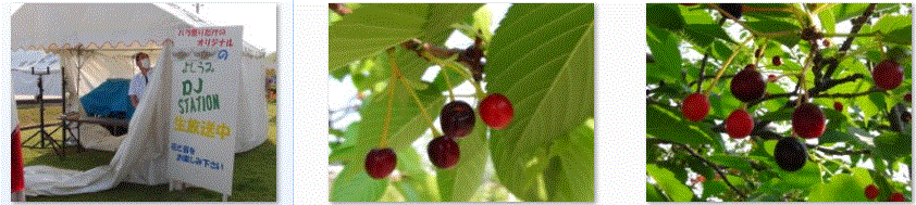 f0231709_1454739.gif