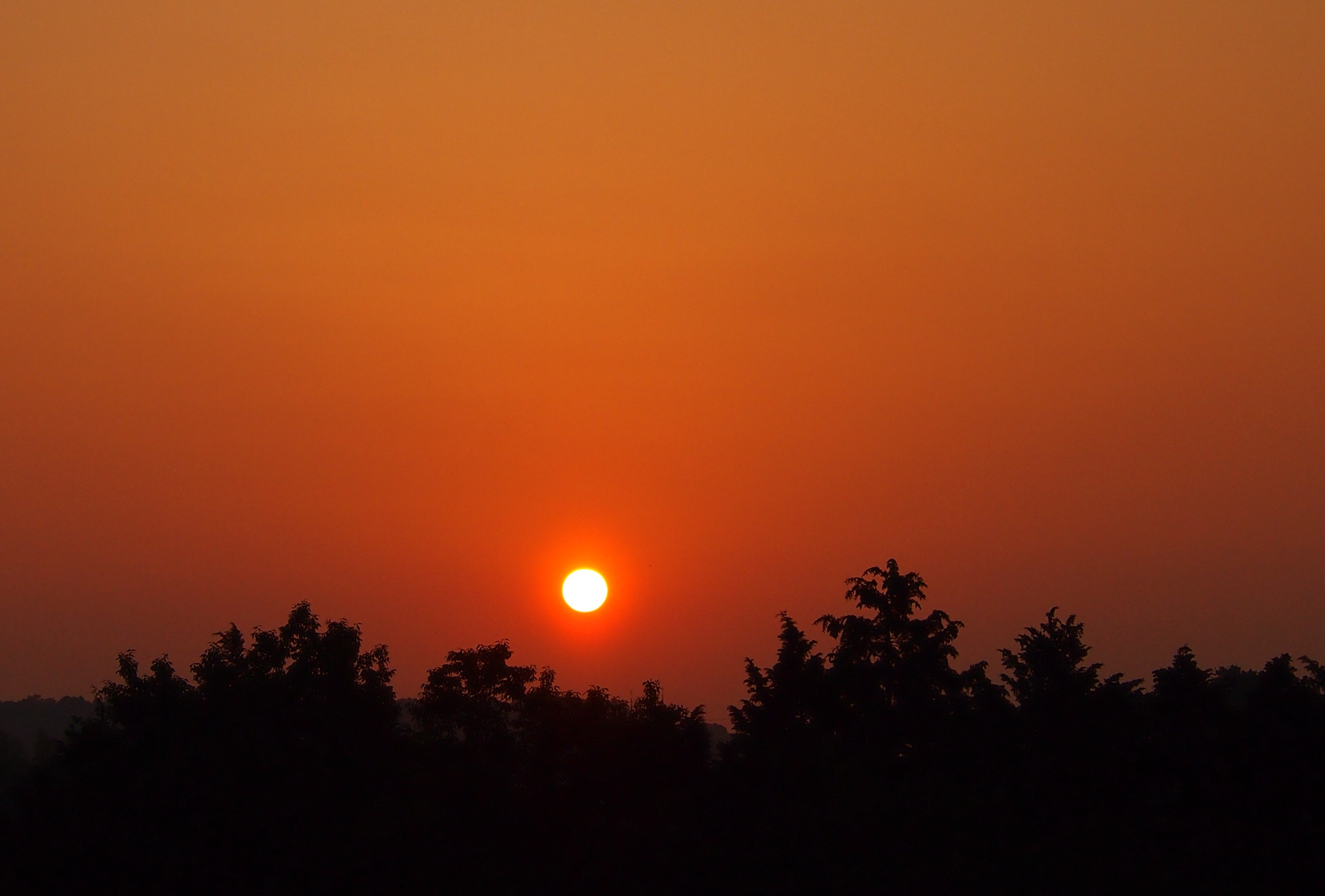 d0048812_12293419.jpg