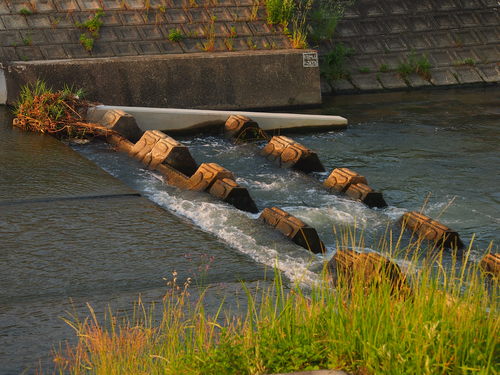 d0048812_12342051.jpg