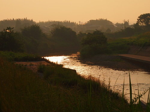 d0048812_12353478.jpg