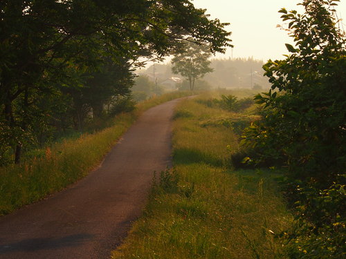 d0048812_1237734.jpg