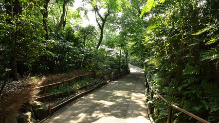 下降する地景 実篤公園 都市の中のオアシス_b0074416_17393174.jpg