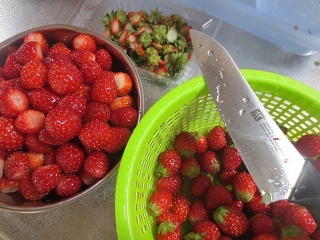 f0248616_17292529.jpg