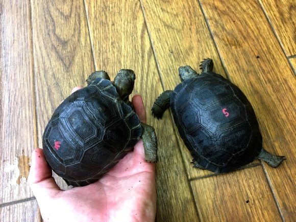 f0351616_03453058.jpeg