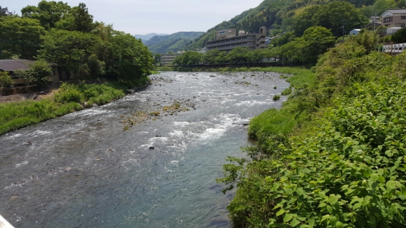 d0172227_55589.jpg