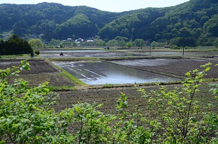 是川　寺坂の下_c0299631_16275159.jpg