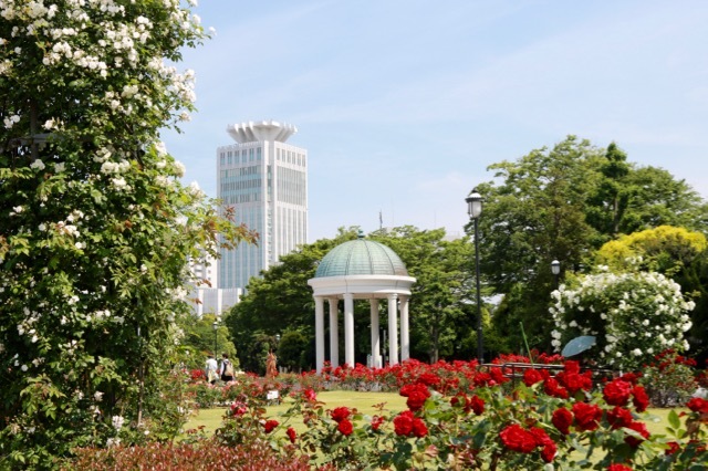 f0348831_06594214.jpg