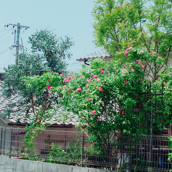 c0216434_12215132.jpg