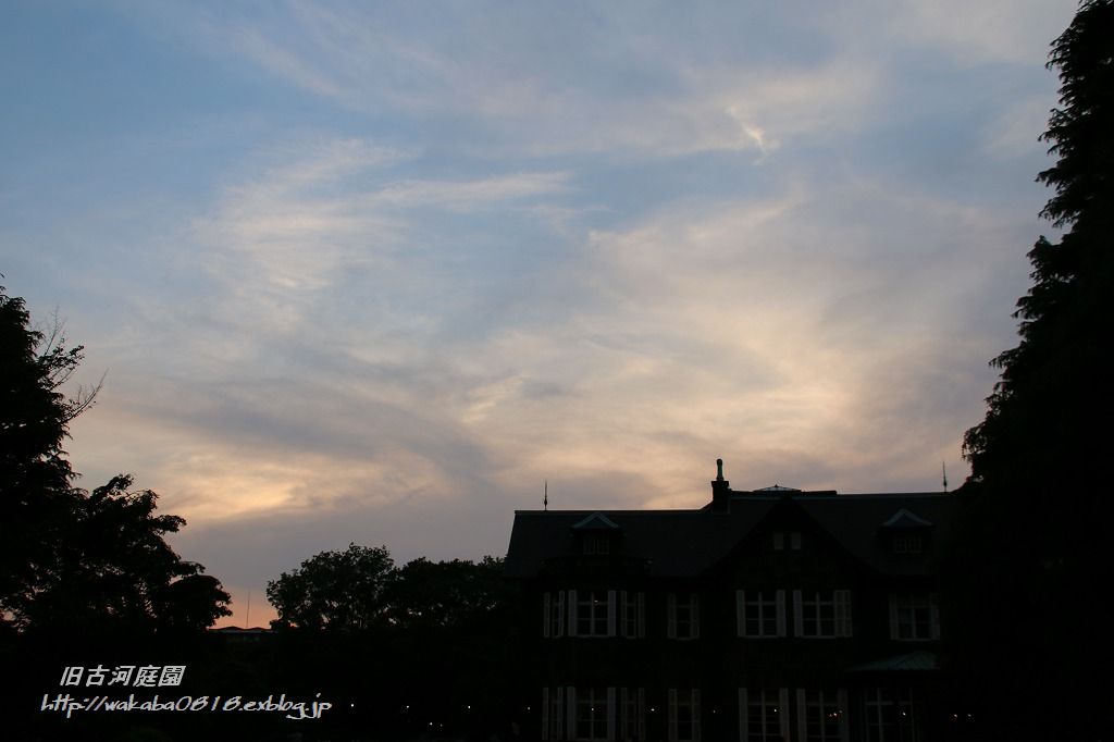 e0052135_6194339.jpg